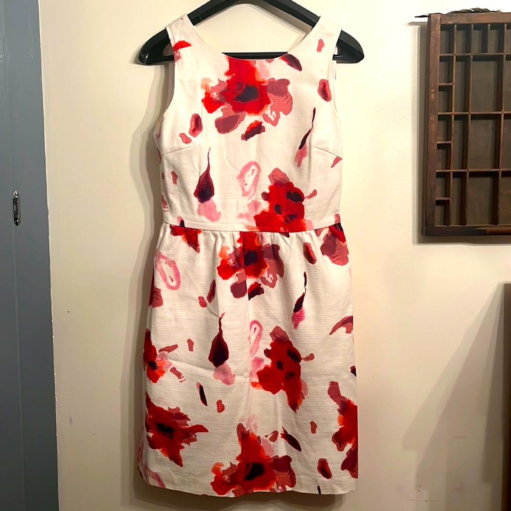 Beautiful Dalia Floral Dress - sz. 6